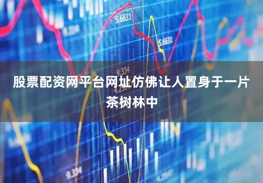 股票配资网平台网址仿佛让人置身于一片茶树林中