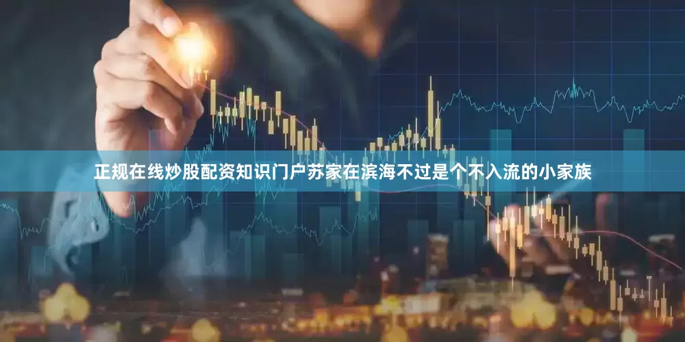 正规在线炒股配资知识门户苏家在滨海不过是个不入流的小家族