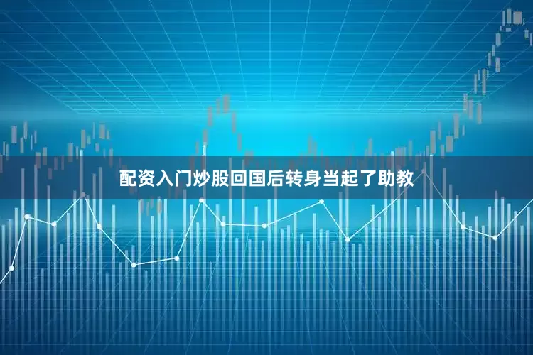 配资入门炒股回国后转身当起了助教
