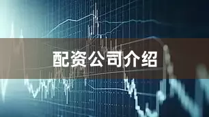 配资公司介绍