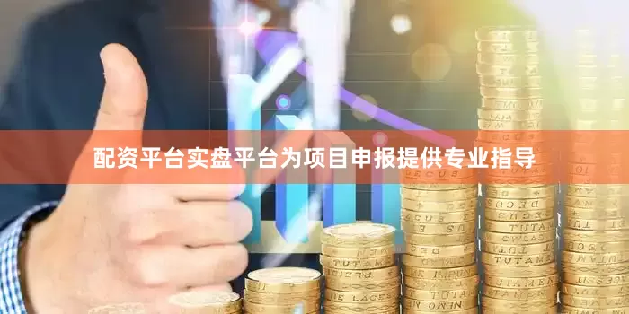 配资平台实盘平台为项目申报提供专业指导