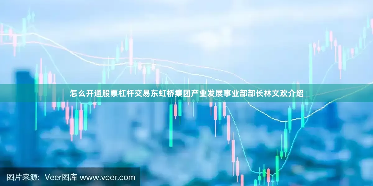 怎么开通股票杠杆交易东虹桥集团产业发展事业部部长林文欢介绍