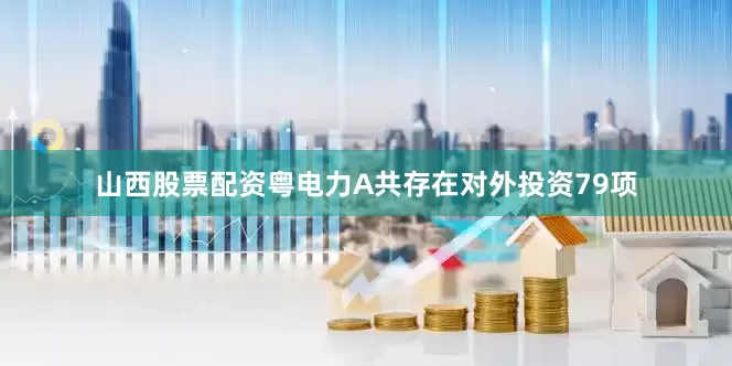 山西股票配资粤电力A共存在对外投资79项